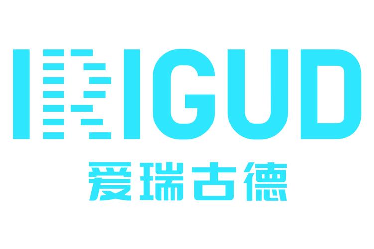 公司经营范围包括:系统集成,信息安全,互联网应用的技术开发与技术